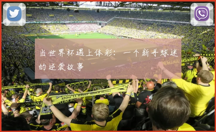 当世界杯遇上体彩：一个新手球迷的逆袭故事