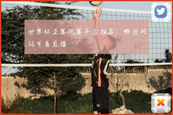 世界杯正赛观赛平台推荐：哪些网站可看直播