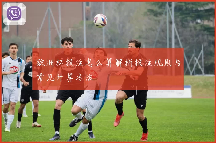 欧洲杯投注怎么算解析投注规则与常见计算方法