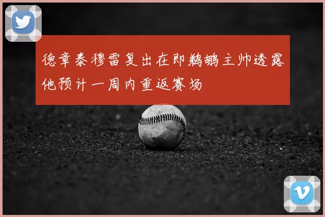 德章泰穆雷复出在即鹈鹕主帅透露他预计一周内重返赛场