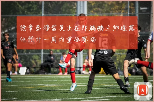 德章泰穆雷复出在即鹈鹕主帅透露他预计一周内重返赛场