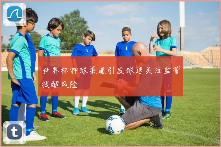 世界杯押球渠道引发球迷关注监管提醒风险