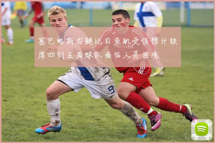塞巴略斯右腿比目鱼肌受伤预计缺席四到五周球队面临人员困境
