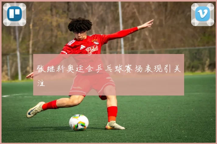 张继科奥运会乒乓球赛场表现引关注