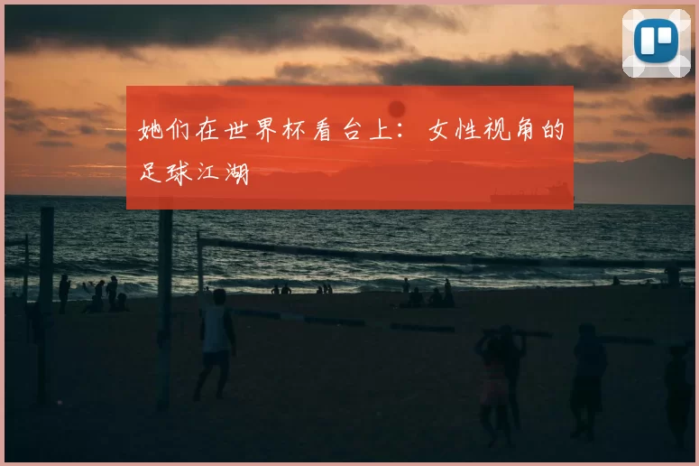 她们在世界杯看台上:女性视角的足球江湖