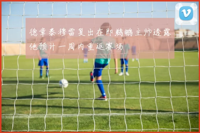 德章泰穆雷复出在即鹈鹕主帅透露他预计一周内重返赛场