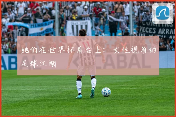 她们在世界杯看台上:女性视角的足球江湖