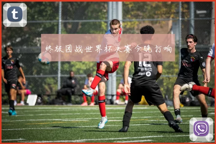 终极团战世界杯决赛今晚打响
