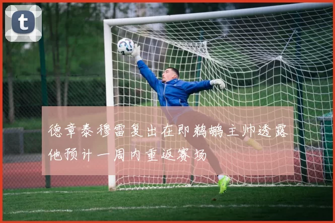 德章泰穆雷复出在即鹈鹕主帅透露他预计一周内重返赛场