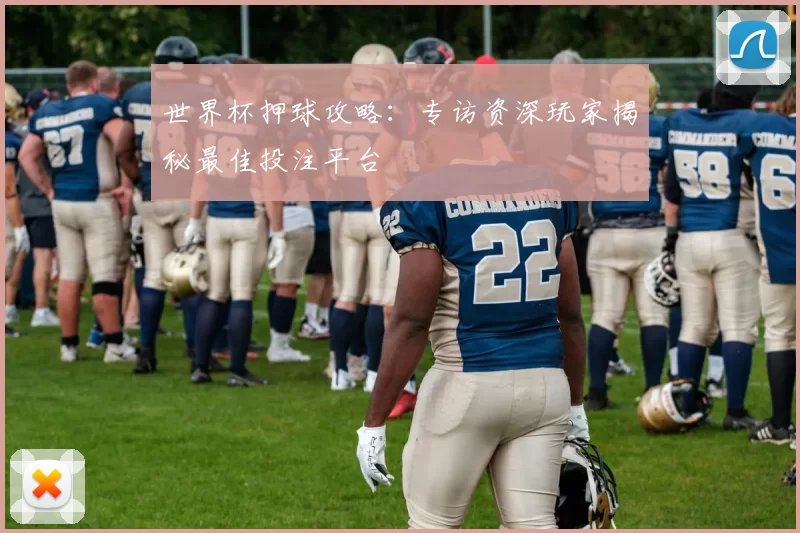 世界杯押球攻略：专访资深玩家揭秘最佳投注平台