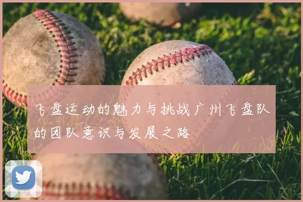飞盘运动的魅力与挑战广州飞盘队的团队意识与发展之路